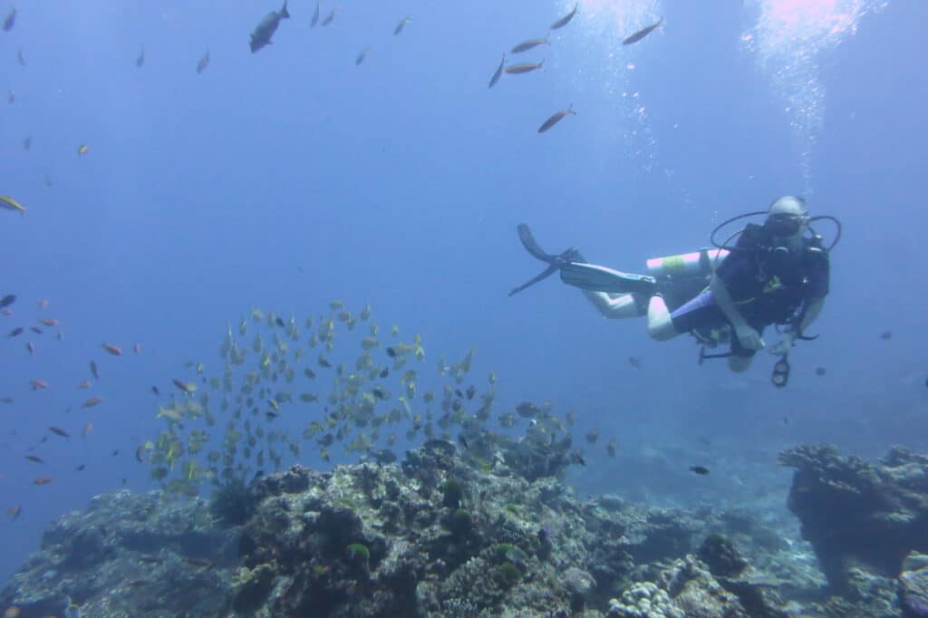 mindfulness and scuba diving